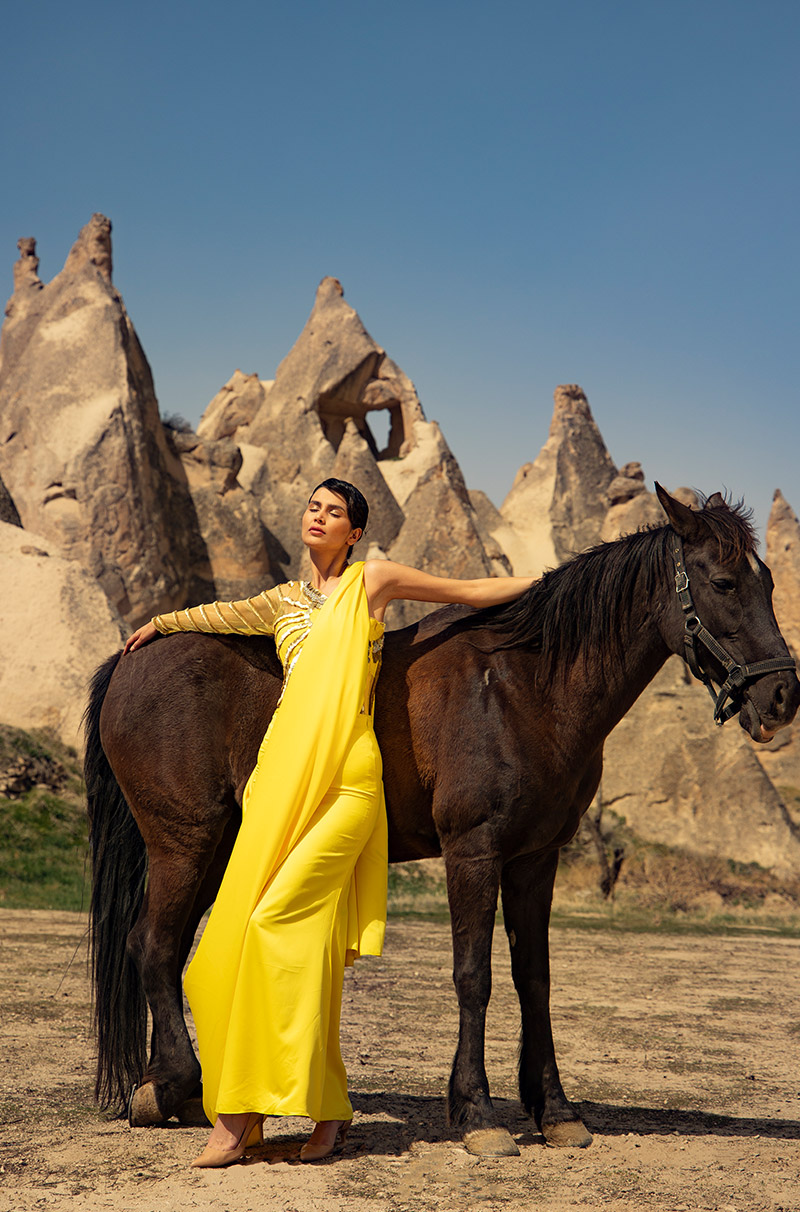 Golden Sunshine - Image 7